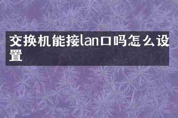 交换机能接lan口吗怎么设置