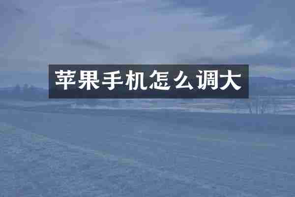 苹果手机怎么调大