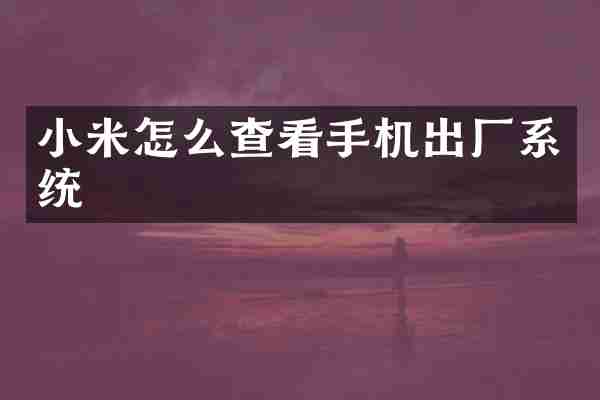 小米怎么查看手机出厂系统