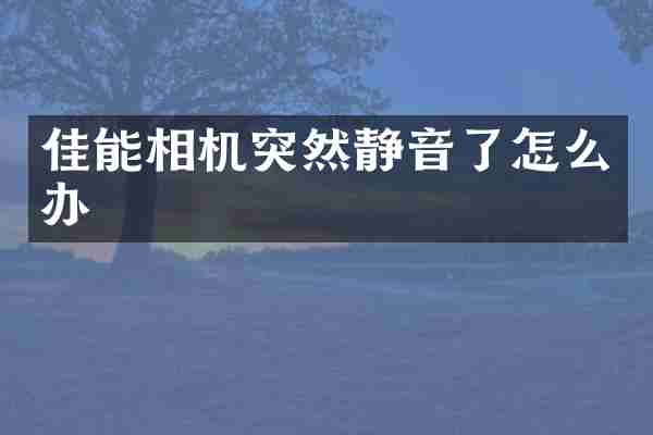 佳能相机突然静音了怎么办