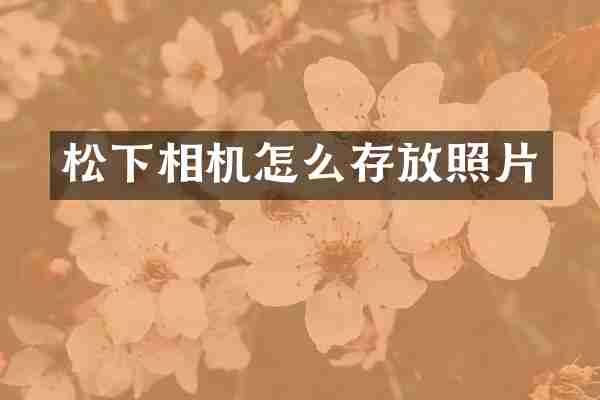 相机怎么存放照片