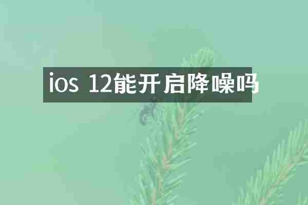 ios 12能开启降噪吗