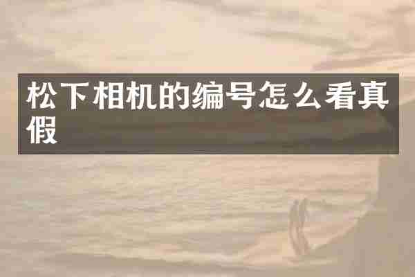 相机的编号怎么看真假