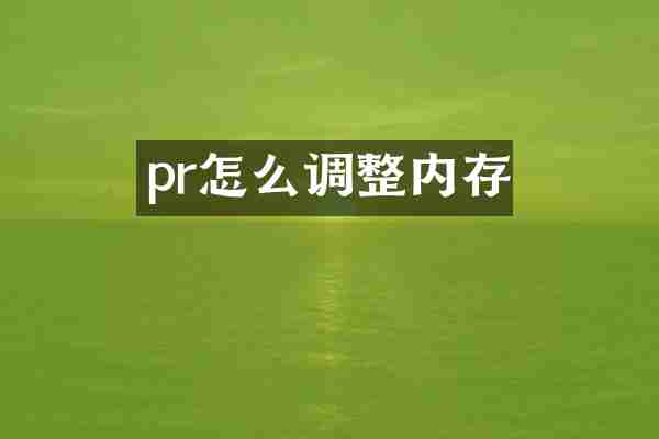 pr怎么调整内存