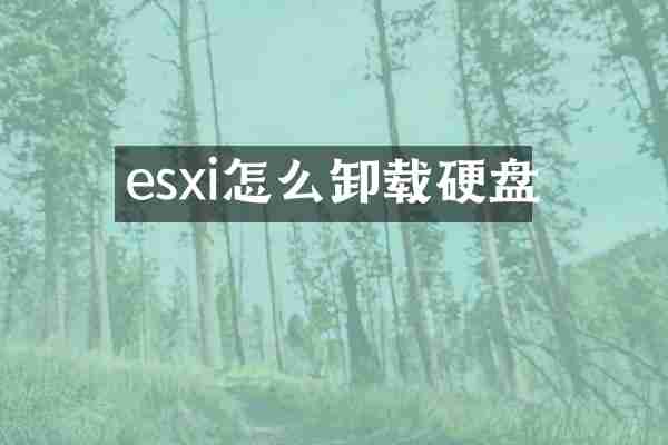 esxi怎么卸载硬盘