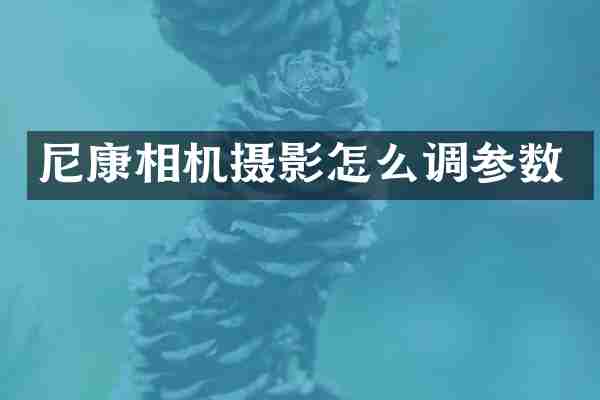 尼康相机摄影怎么调参数
