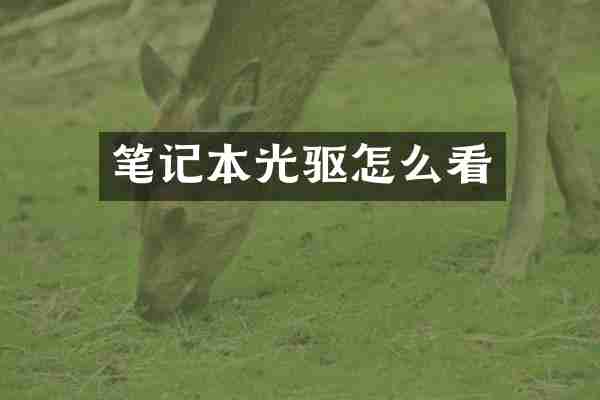笔记本光驱怎么看