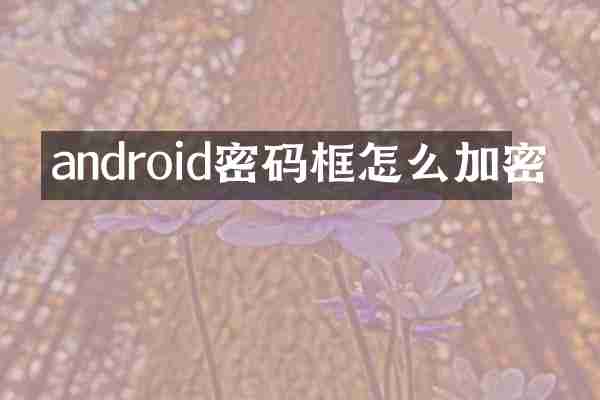 android密码框怎么加密