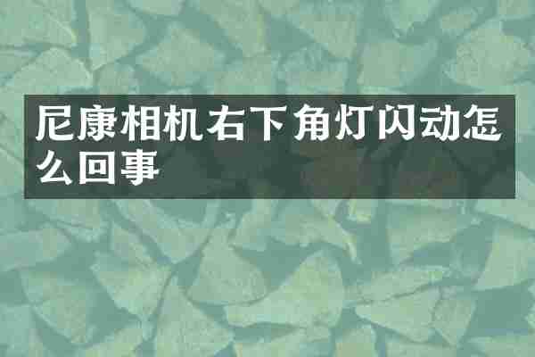 尼康相机右下角灯闪动怎么回事