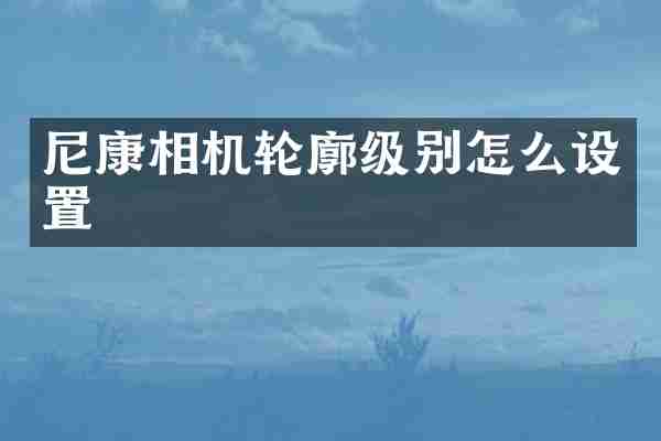 尼康相机轮廓级别怎么设置