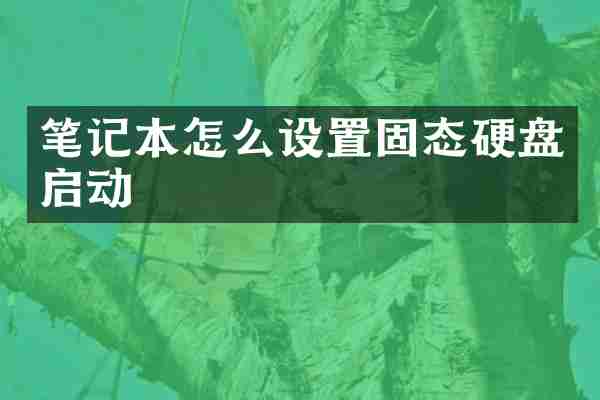 笔记本怎么设置固态硬盘启动
