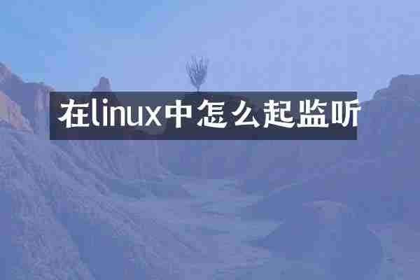 在linux中怎么起