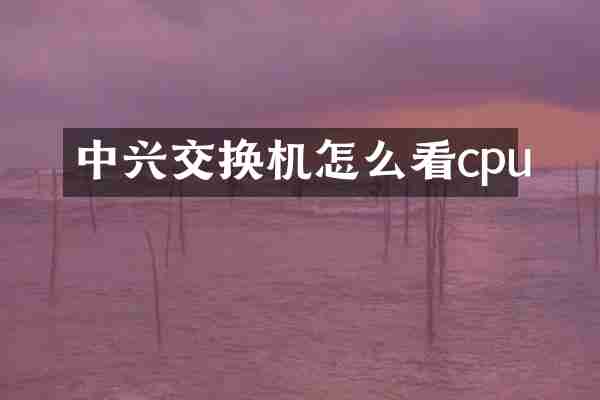 中兴交换机怎么看cpu