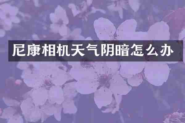 尼康相机天气阴暗怎么办