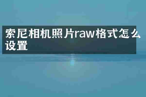索尼相机照片raw格式怎么设置