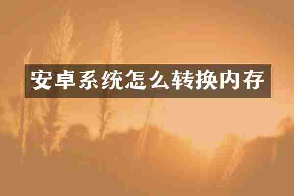 安卓系统怎么转换内存