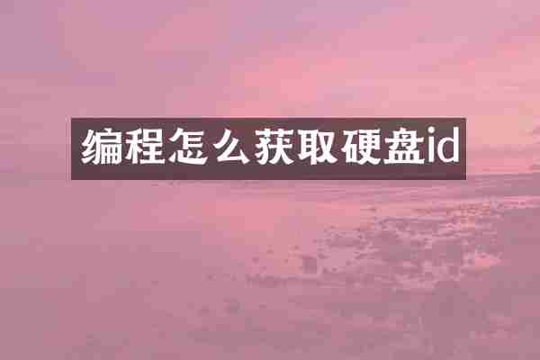 编程怎么获取硬盘id
