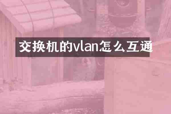 交换机的vlan怎么互通