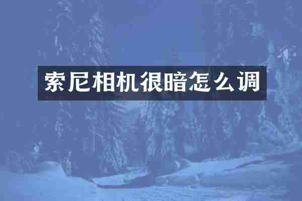 索尼相机很暗怎么调