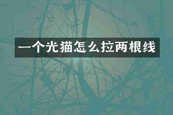 一个光猫怎么拉两根线