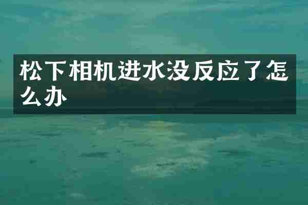相机进水没反应了怎么办