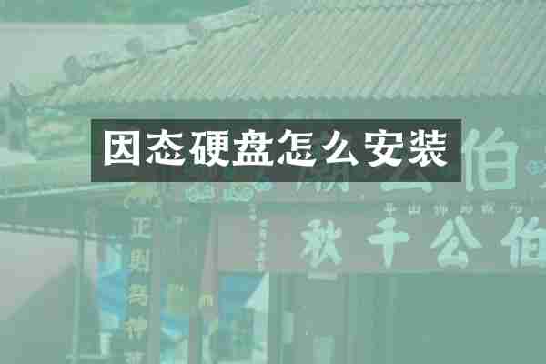 因态硬盘怎么安装