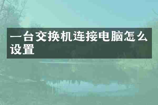 一台交换机连接电脑怎么设置