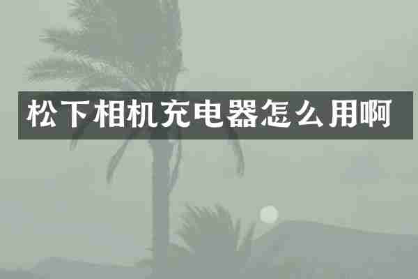 相机充电器怎么用啊