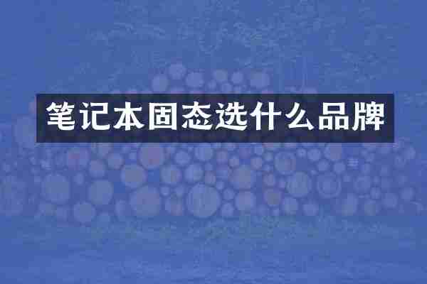 笔记本固态选什么品牌