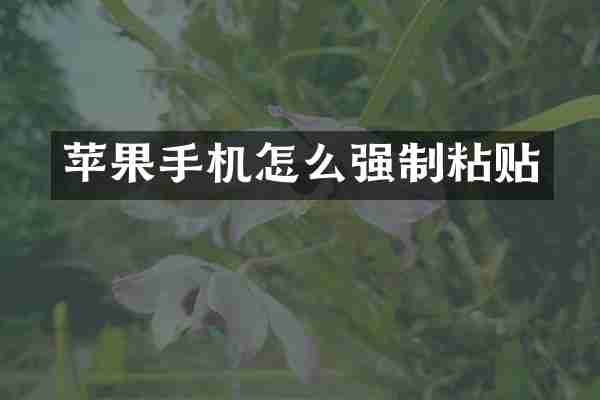 苹果手机怎么强制粘贴