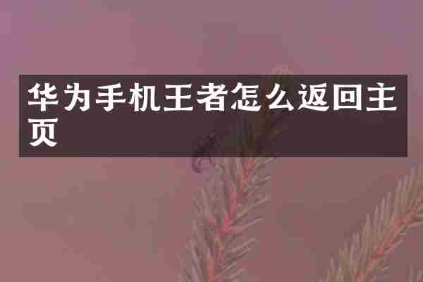 华为手机王者怎么返回主页
