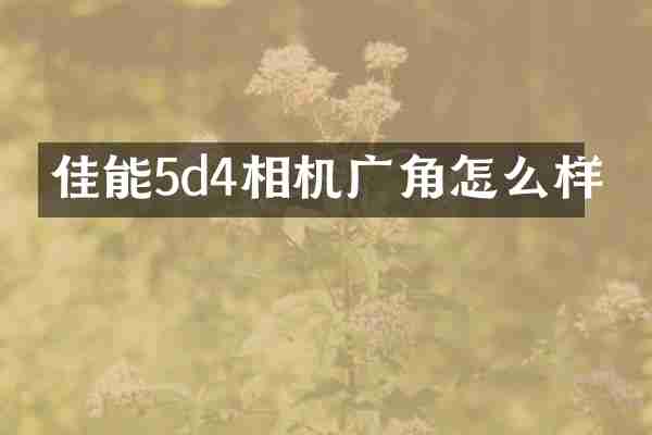 佳能5d4相机广角怎么样