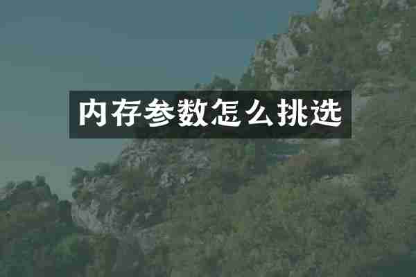 内存参数怎么挑选