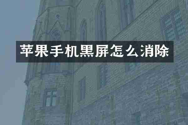 苹果手机黑屏怎么消除