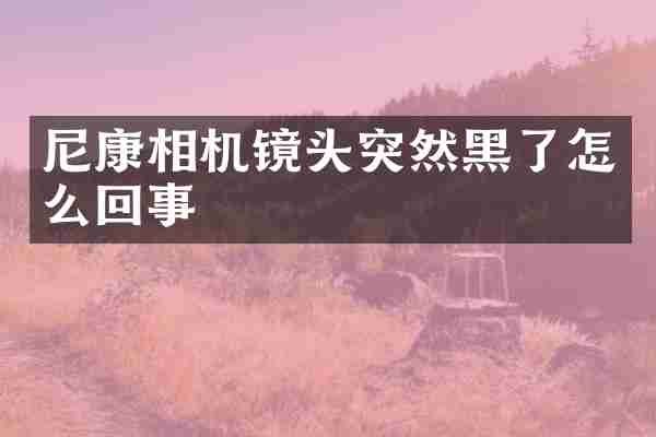尼康相机镜头突然黑了怎么回事