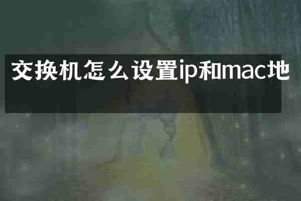 交换机怎么设置ip和mac地址