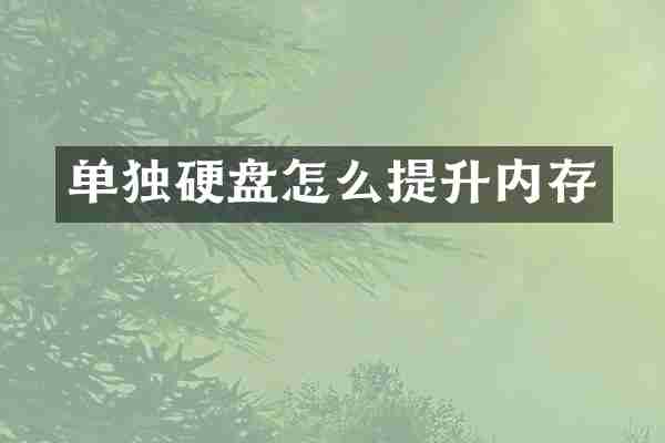单独硬盘怎么提升内存