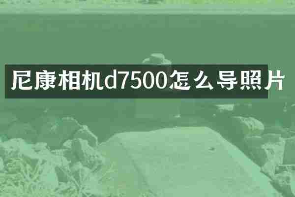 尼康相机d7500怎么导照片