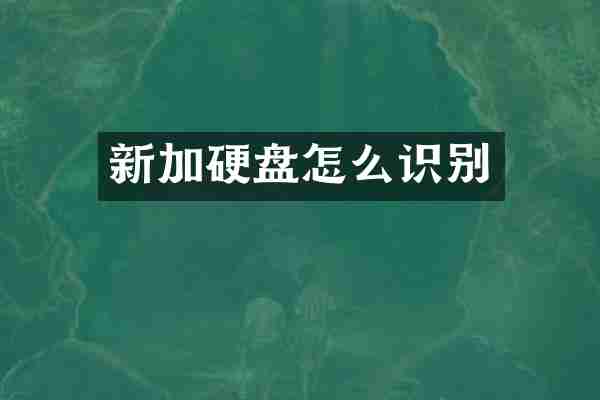 新加硬盘怎么识别