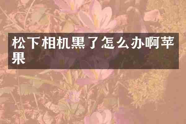 相机黑了怎么办啊苹果