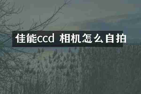 佳能ccd 相机怎么