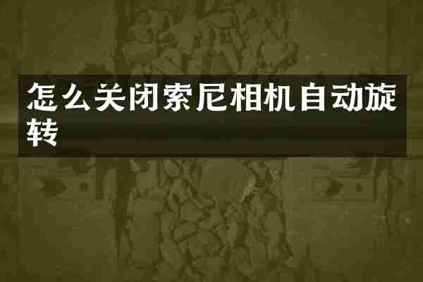 怎么关闭索尼相机自动旋转