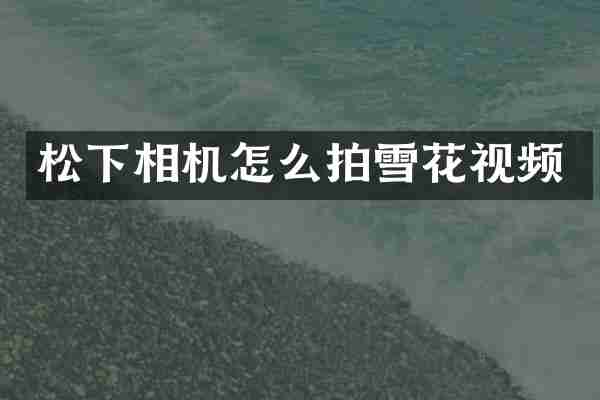 松下相机怎么拍雪花视频