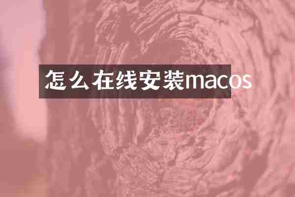 怎么在线安装macos