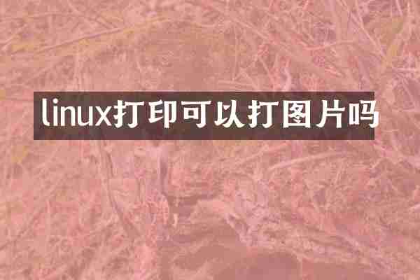 linux打印可以打图片吗