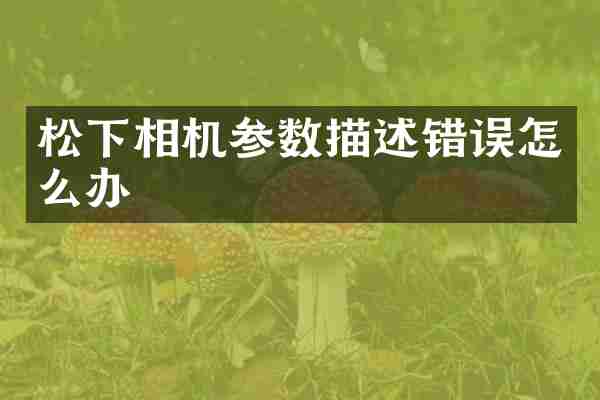 松下相机参数描述错误怎么办