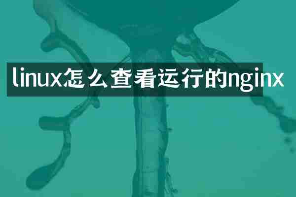 linux怎么查看运行的nginx