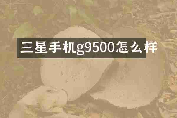 三星手机g9500怎么样