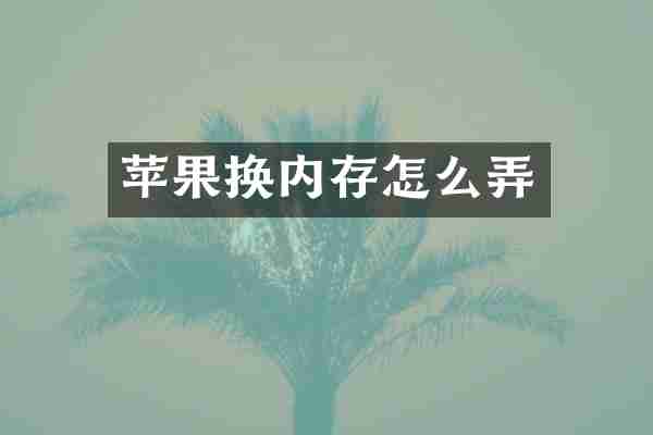 苹果换内存怎么弄