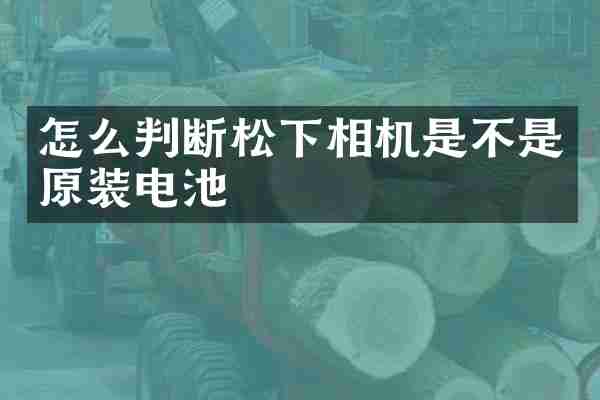 怎么判断松下相机是不是原装电池